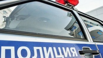 В Макушинском районе сотрудниками полиции задержан подозреваемый в незаконной рубке почти пятидесяти берёз и трёх осин